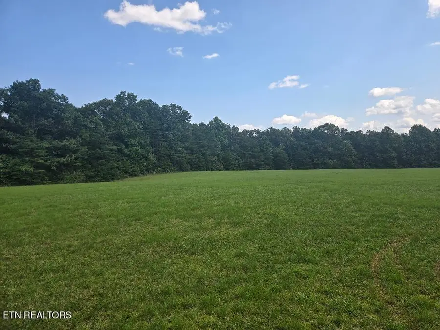 Al Martin Rd, Robbins, TN 37852 - #2