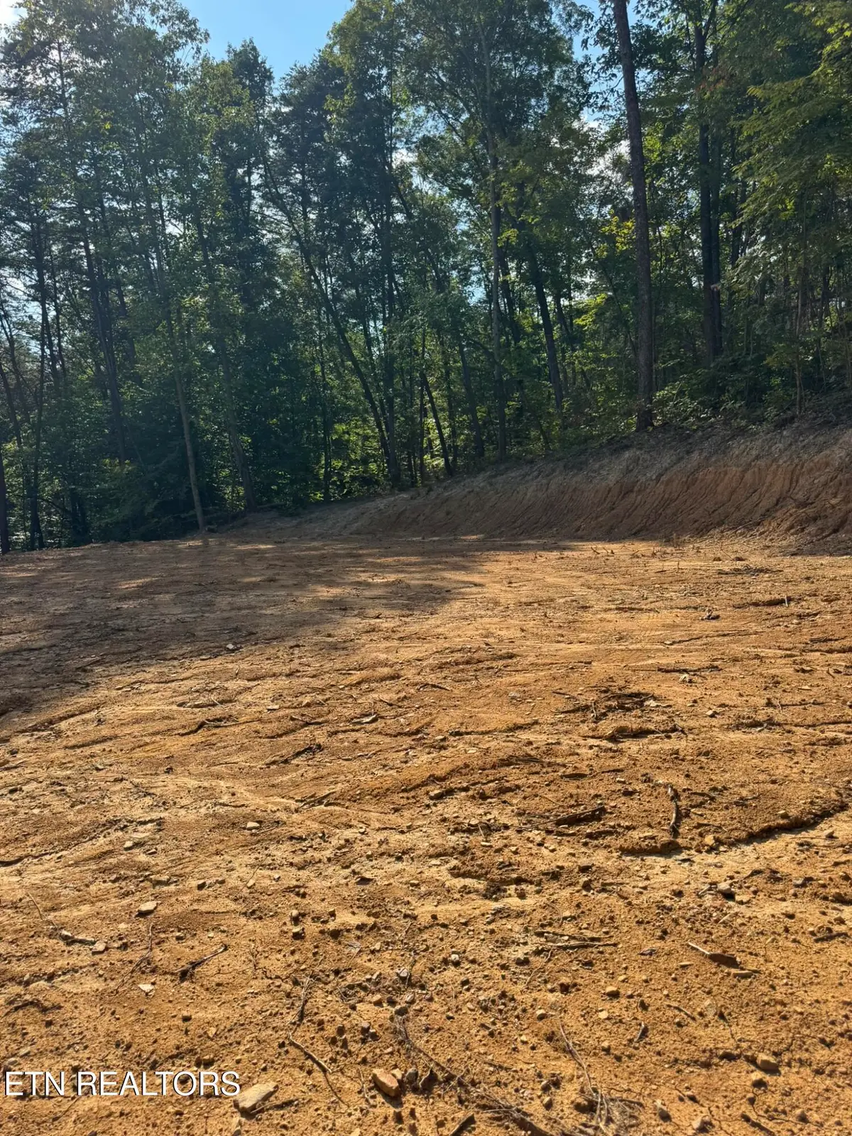 Lot 4A Texas Hollow Rd., Luttrell, TN 37779 - #1