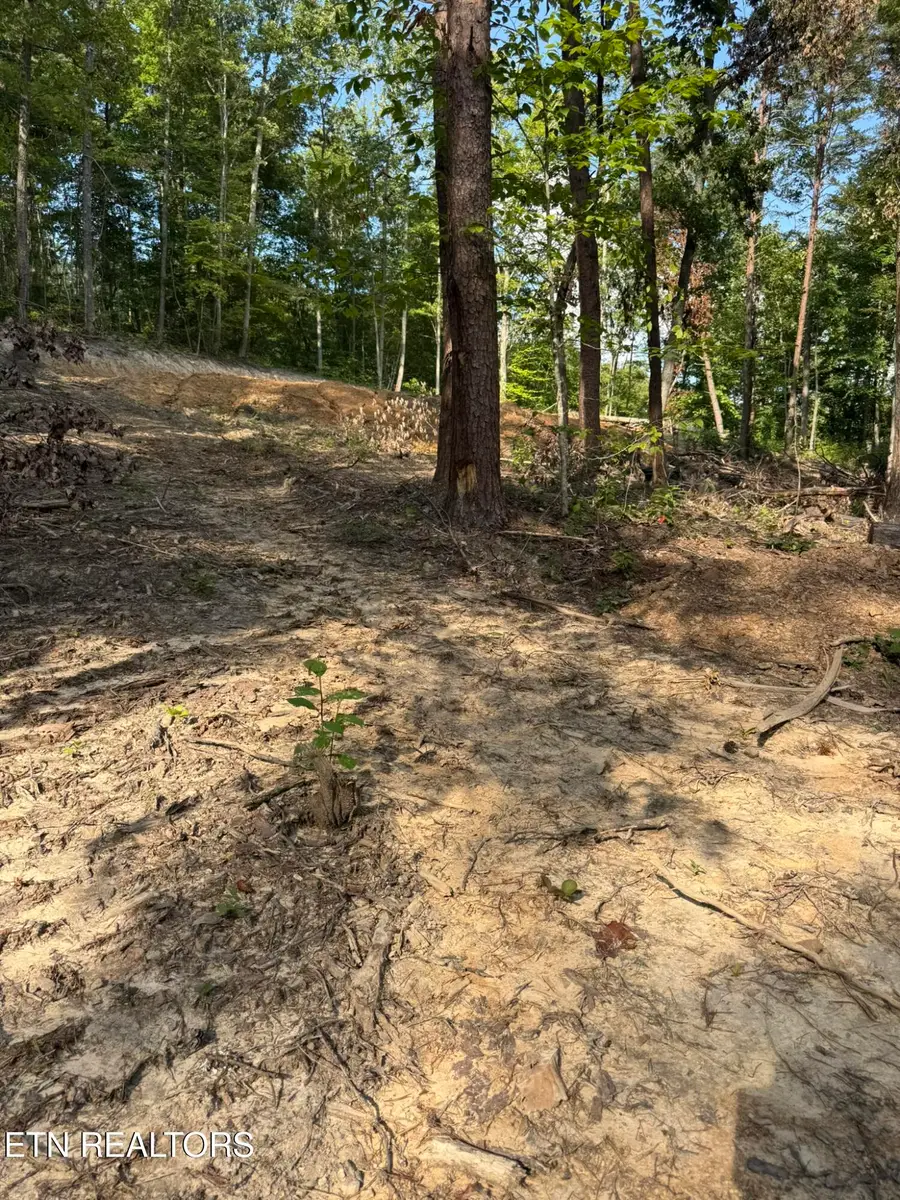 Lot 4A Texas Hollow Rd., Luttrell, TN 37779 - #3