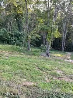 Wells Rd, Powell, TN 37849 - #2