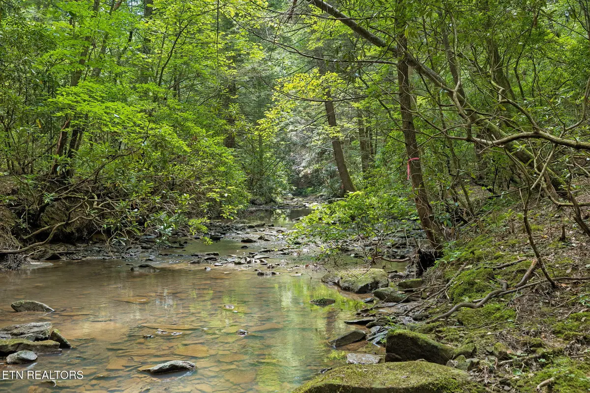Sheep Ranch Rd #Tract 7, Robbins, TN 37852 - #1