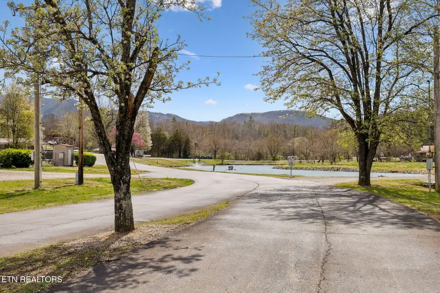 749 Big Valley Blvd, Townsend, TN 37882 - #2
