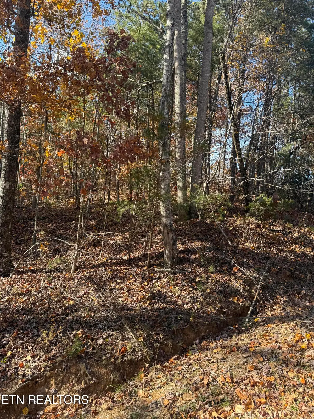Scenic Woods Way, Sevierville, TN 37876 - #1