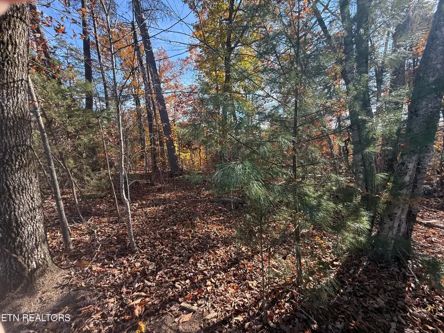 Scenic Woods Way, Sevierville, TN 37876 - #3