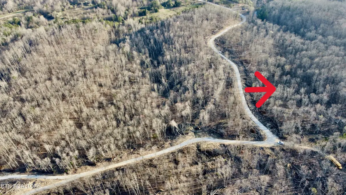 Lot#7 Mill Creek Rd #026 009.19, Sunbright, TN 37872 - #1