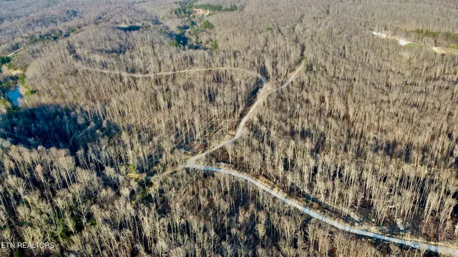 Lot#7 Mill Creek Rd #026 009.19, Sunbright, TN 37872 - #3