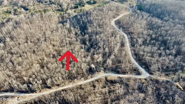 Lot#9 Mill Creek Rd #026 009.19, Sunbright, TN 37872