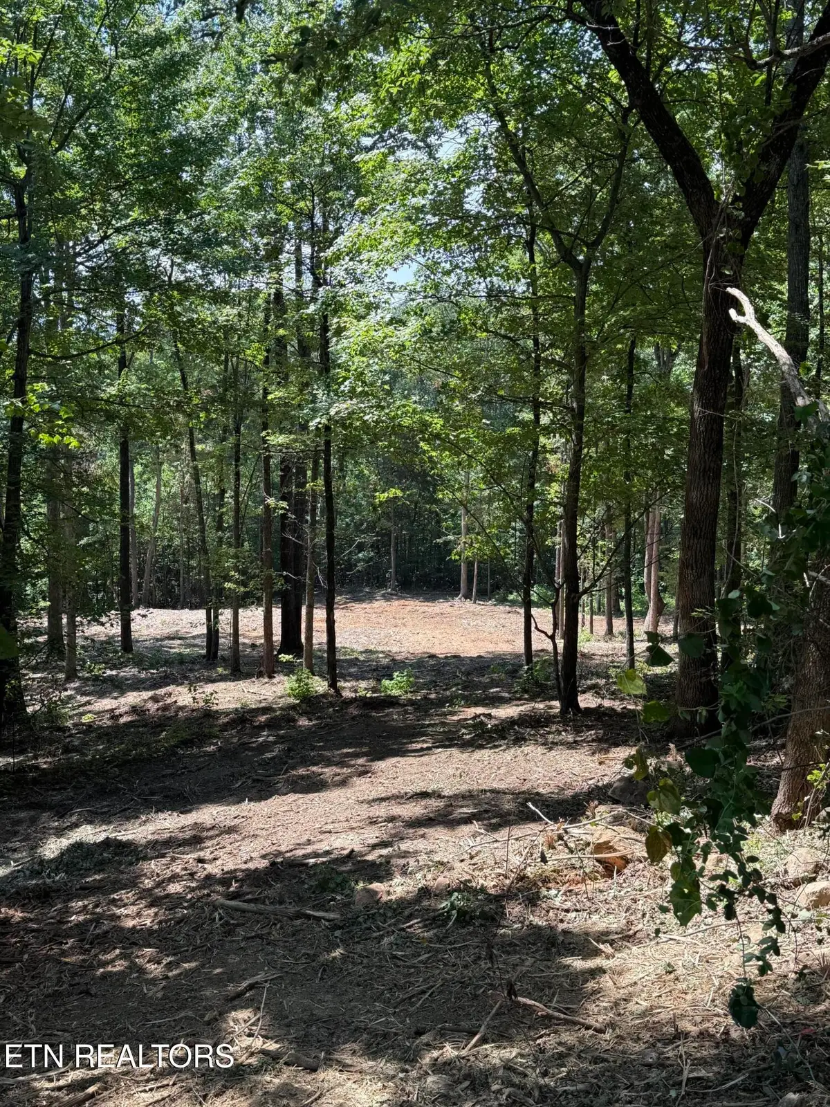 Lot 150 Mountaineer Tr, Sevierville, TN 37862 - #1