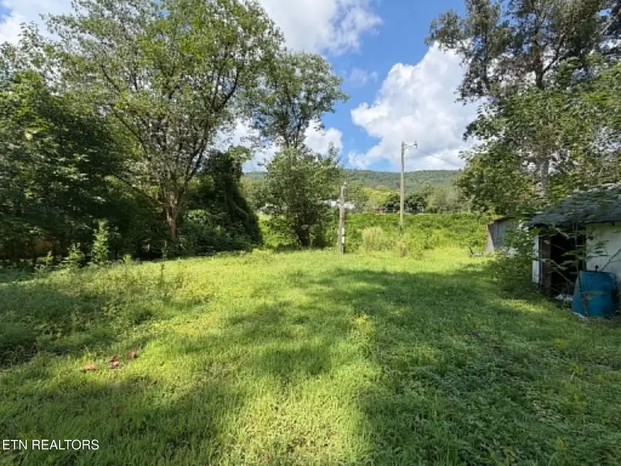 410 Ideal Valley Rd, Spring City, TN 37381 - #2