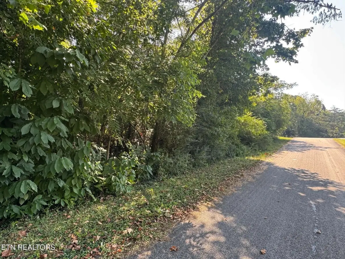 164 Jodys Lane, Rockwood, TN 37854 - #1