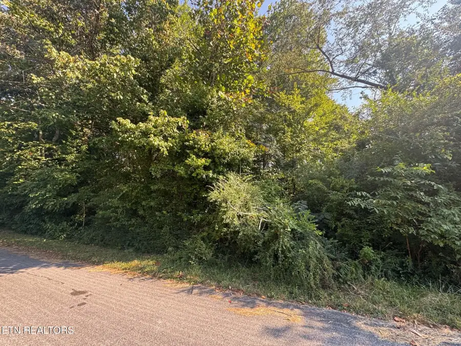 164 Jodys Lane, Rockwood, TN 37854 - #3