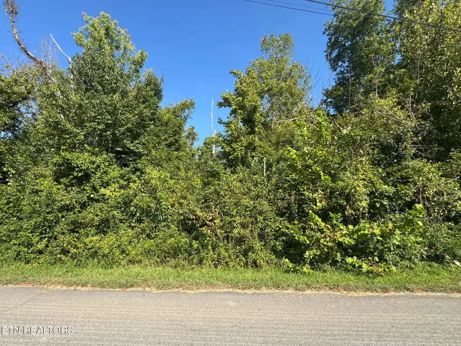 Balboa Drive, Rockwood, TN 37854 - #2