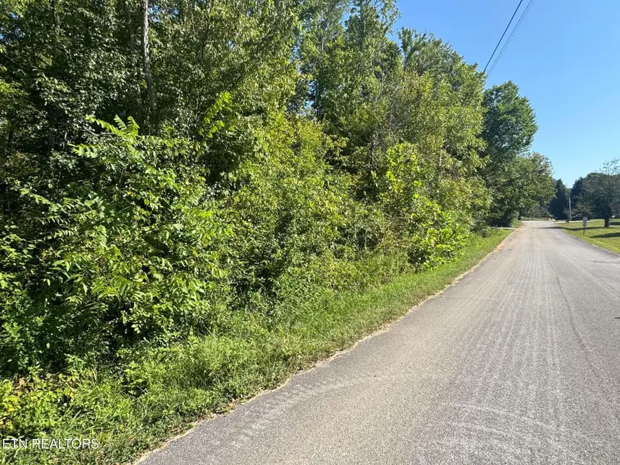 Balboa Drive, Rockwood, TN 37854 - #3