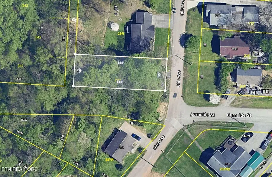 1233 Ohio Ave, Knoxville, TN 37921 - #3