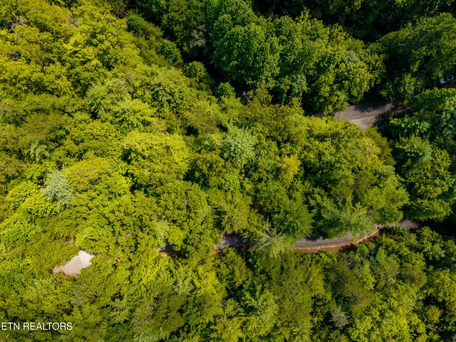 267 Cobblestone Way, Townsend, TN 37882 - #3