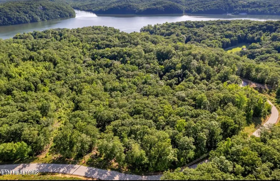Lot #19 Ridgeline Drive, Rockwood, TN 37854 - #3