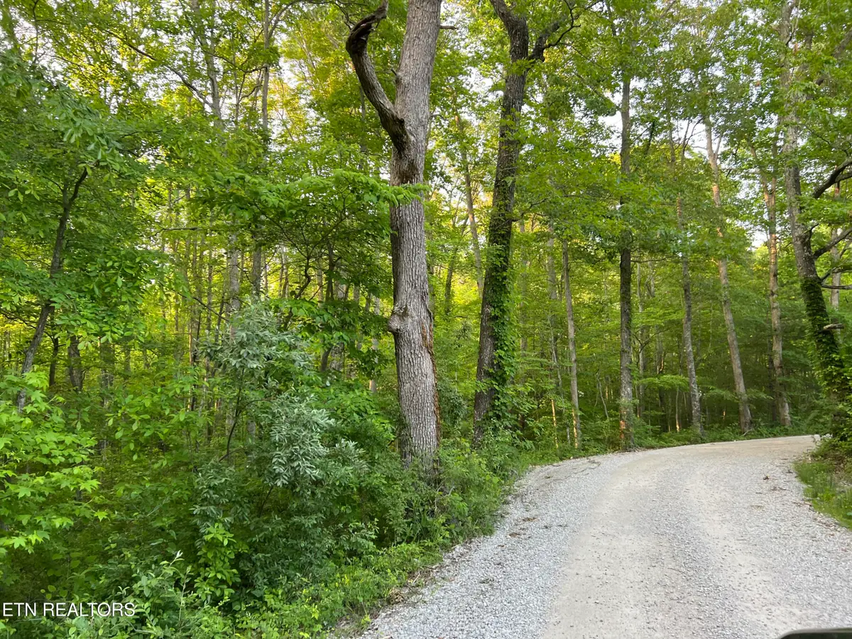 Carson Town Rd, Sunbright, TN 37872 - #1