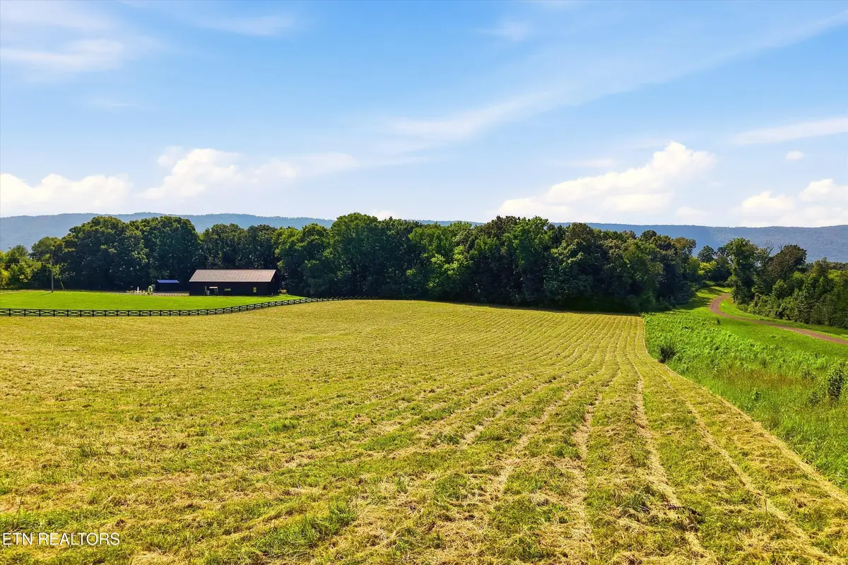 909 County Rd #053.00, Etowah, TN 37331 - #1