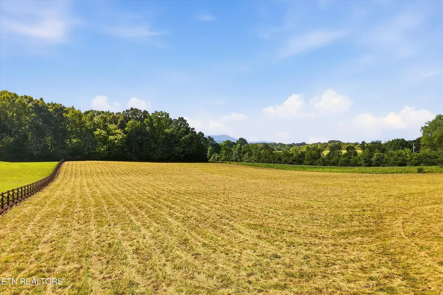 909 County Rd #053.00, Etowah, TN 37331 - #2