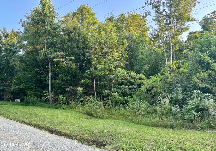 Wintergreen Lane, Cosby, TN 37722 - #3