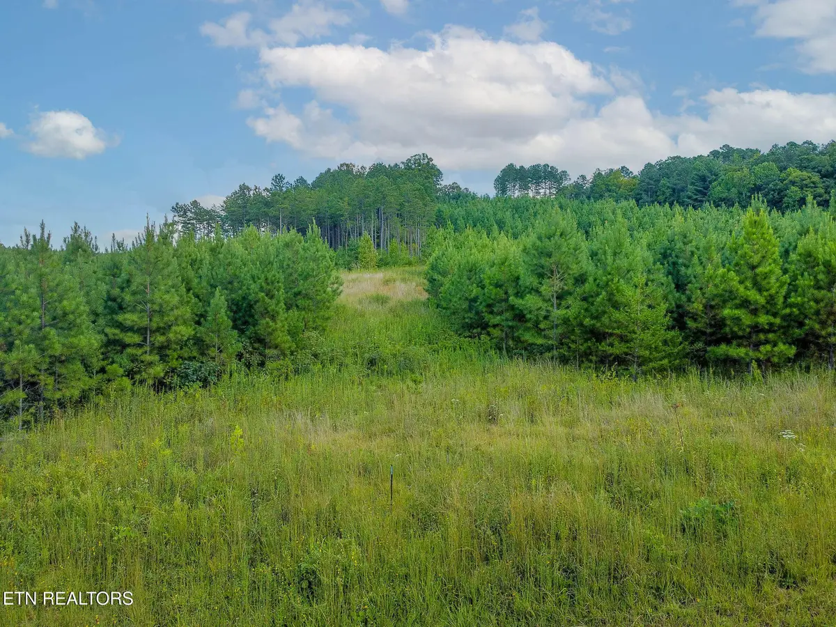 Lot #41 Three Point Rd, Madisonville, TN 37354 - #1