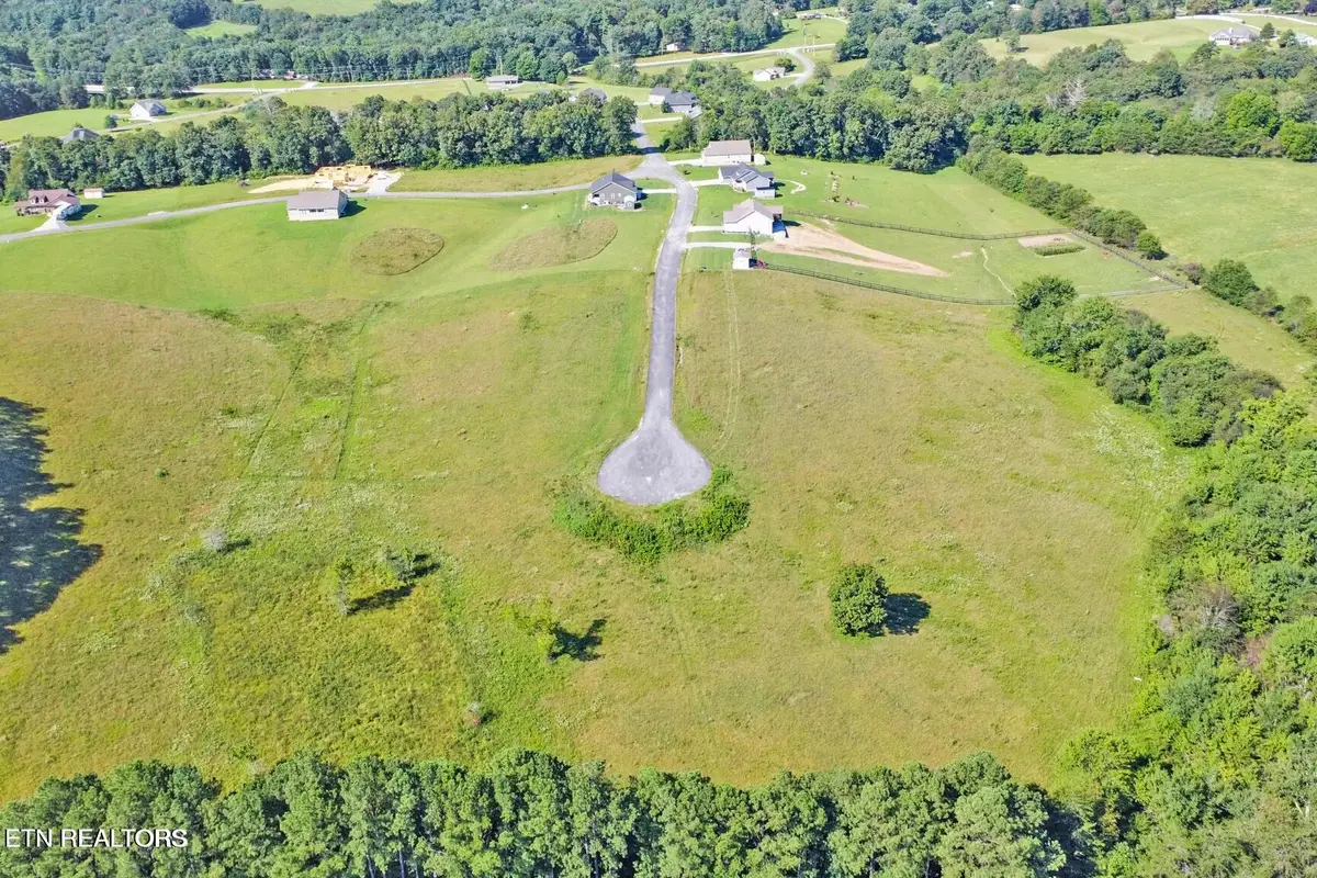 Estate Lane, Crab Orchard, TN 37723 - #1