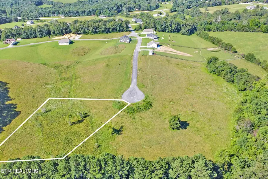 Estate Lane, Crab Orchard, TN 37723 - #2