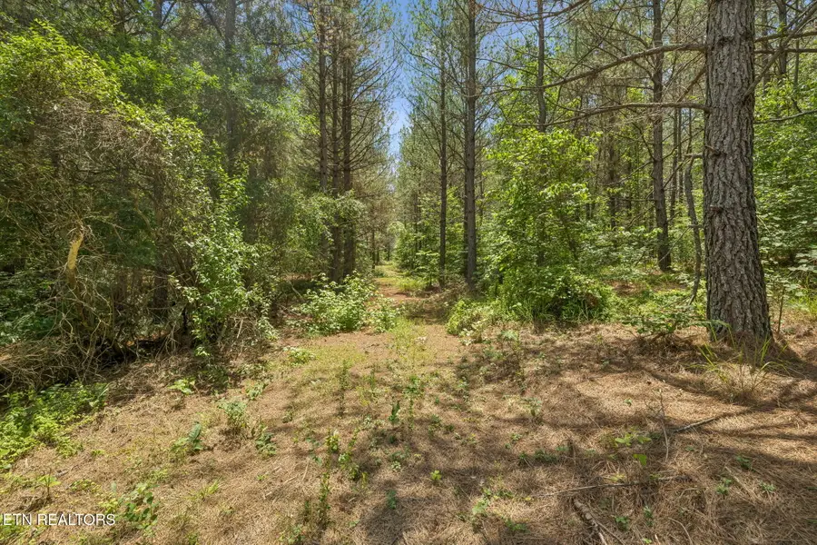 Nydeck Tr #Tract 3, Robbins, TN 37852 - #2