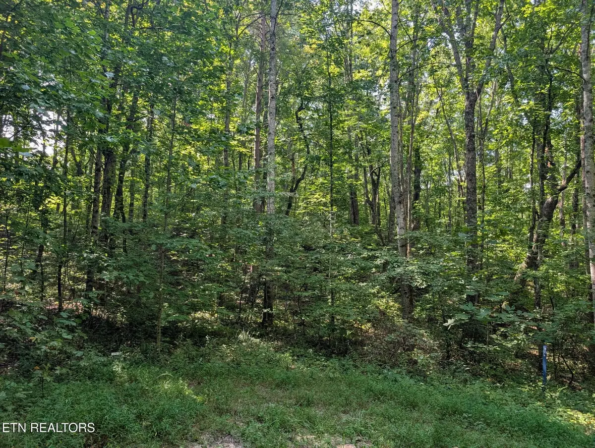 Retreat Circle- Lot- 48,49,50, Crossville, TN 38572 - #1