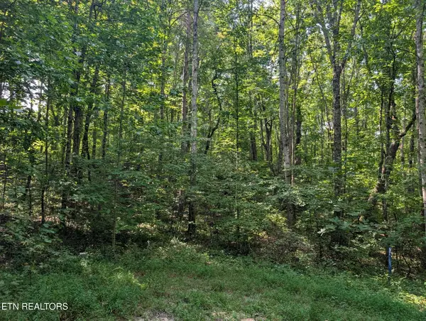 Retreat Circle- Lot- 48,49,50, Crossville, TN 38572