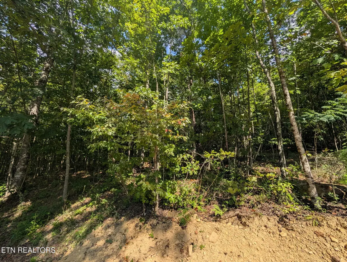 Lookout Drive - Lot 63, Crossville, TN 38572 - #1