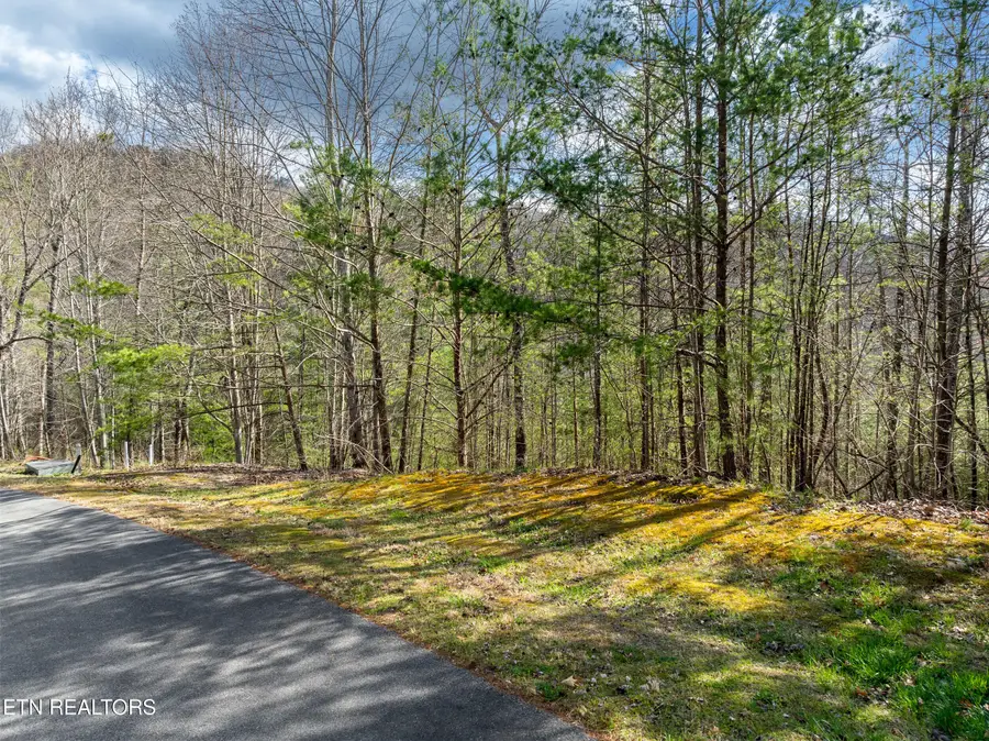 227 Black Powder Court, Walland, TN 37886 - #2