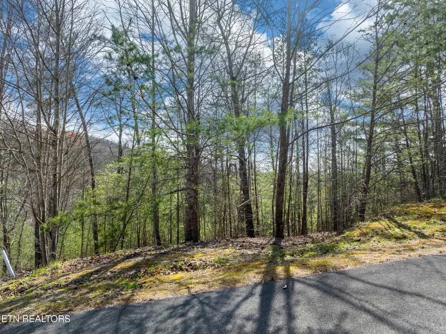 227 Black Powder Court, Walland, TN 37886 - #3