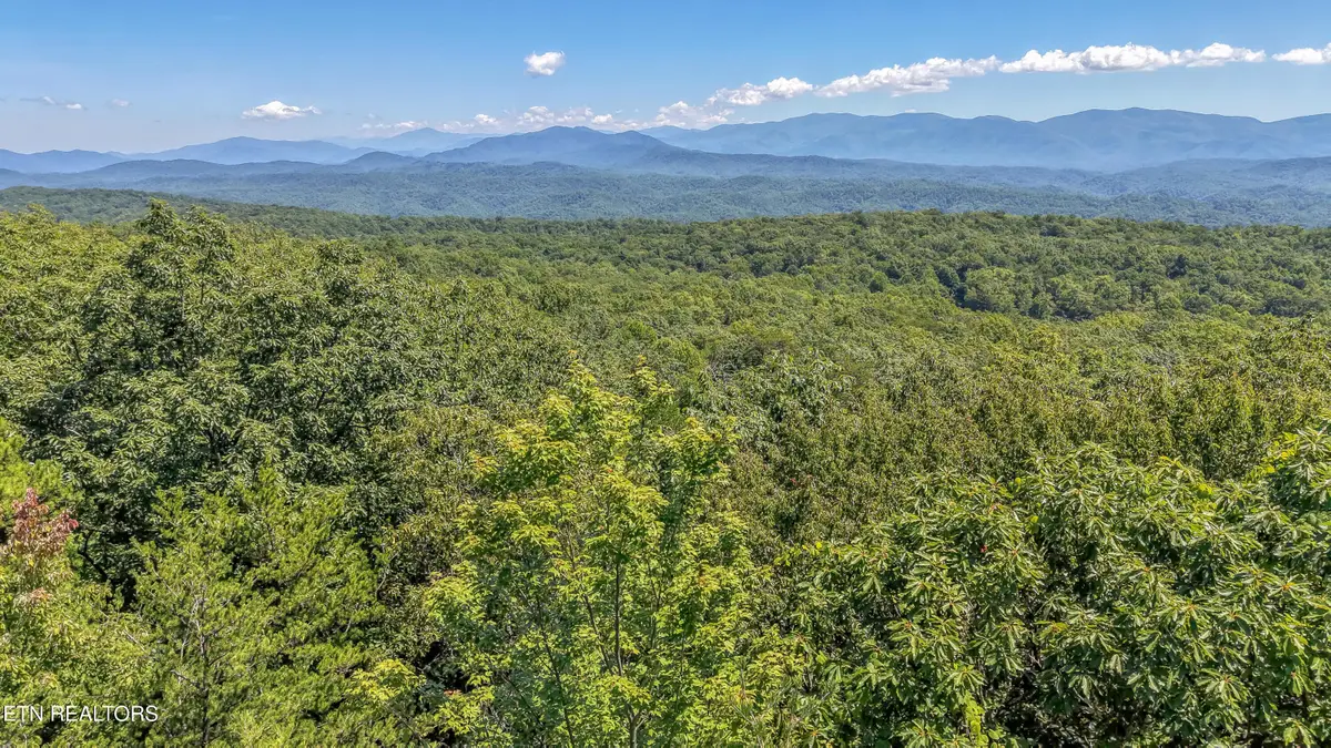 Avens Lane, Tallassee, TN 37878 - #1