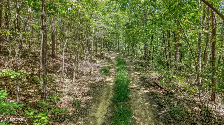 Avens Lane, Tallassee, TN 37878 - #2