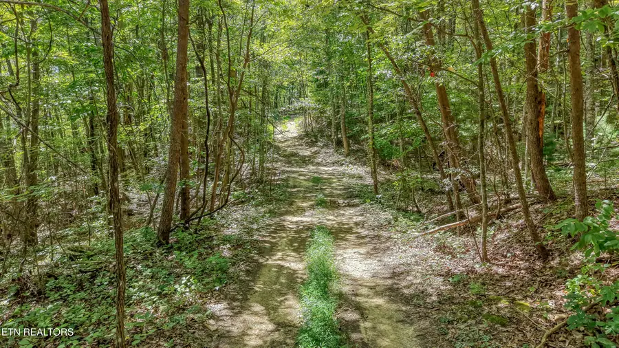 Avens Lane, Tallassee, TN 37878 - #3