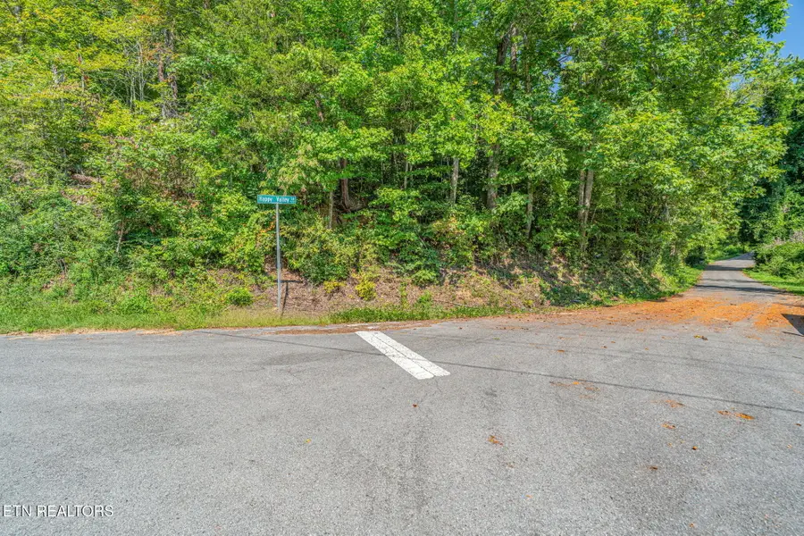 0 Happy Valley Rd, Tallassee, TN 37878 - #3