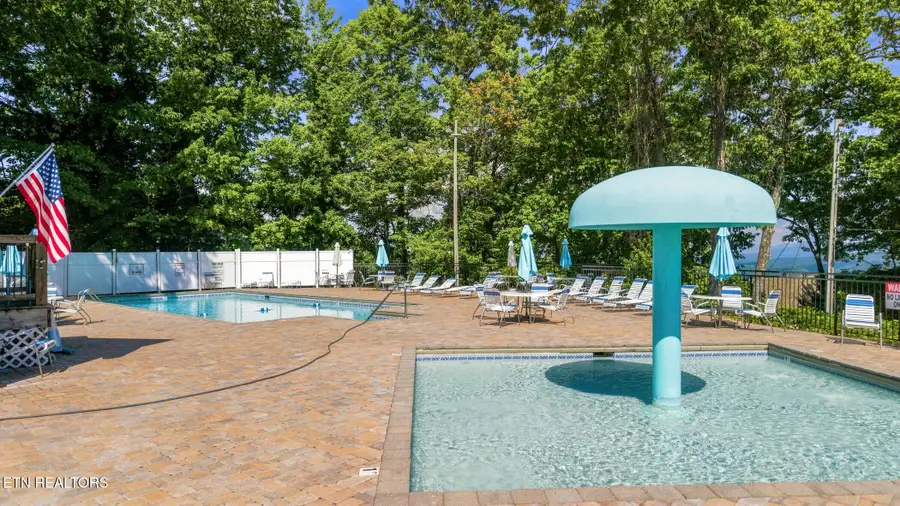 1155 Upper Alpine Way #UNIT 204, Gatlinburg, TN 37738 - #2