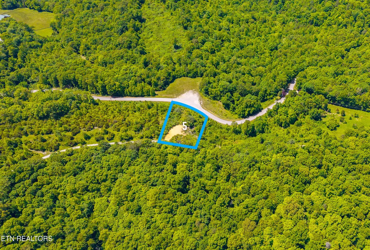 Lot 5 Saddleridge, Speedwell, TN 37870 - #1