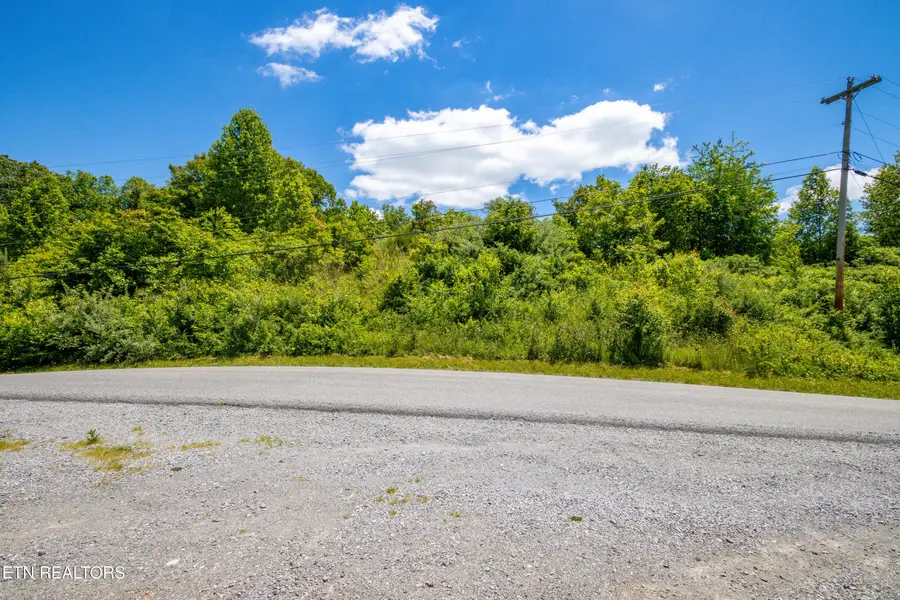 Lot 5 Saddleridge, Speedwell, TN 37870 - #2