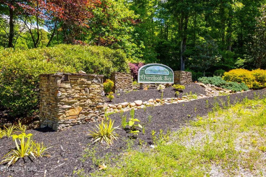Lot 5 Saddleridge, Speedwell, TN 37870 - #3