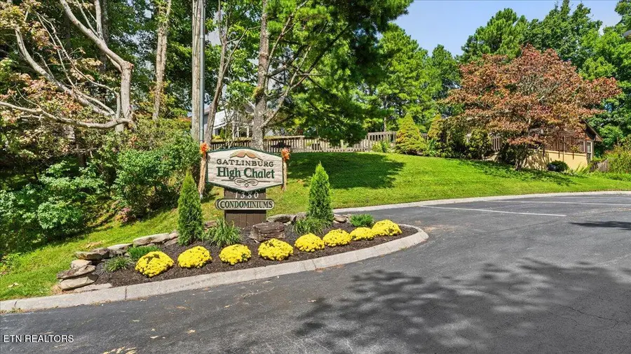 1380 Ski View Drive #UNIT 1106, Gatlinburg, TN 37738 - #2