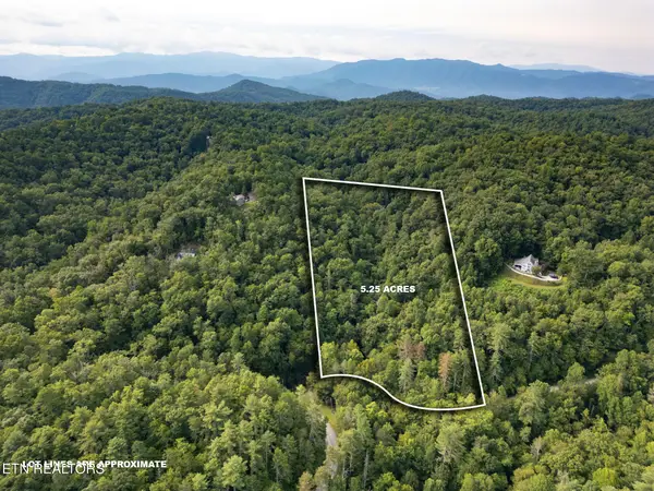 Chilhowee Loop, Walland, TN 37886