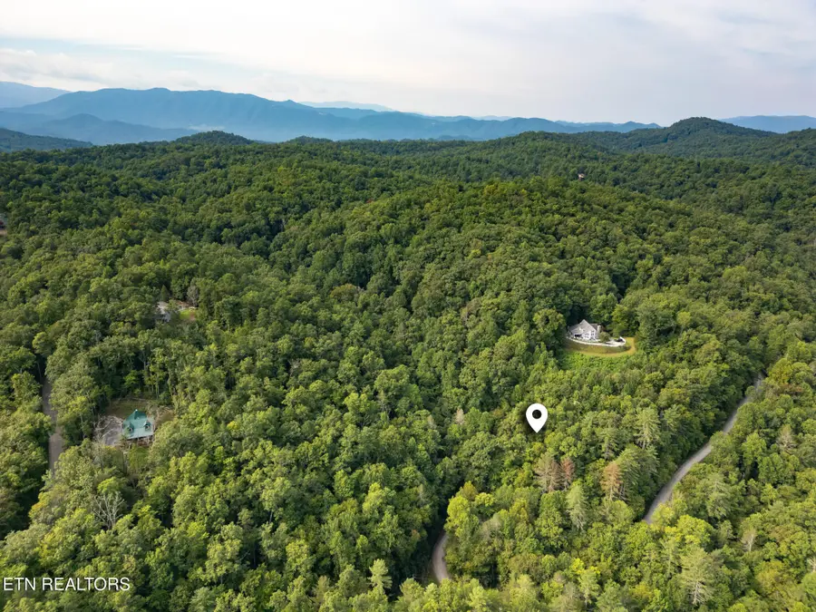 Chilhowee Loop, Walland, TN 37886 - #3