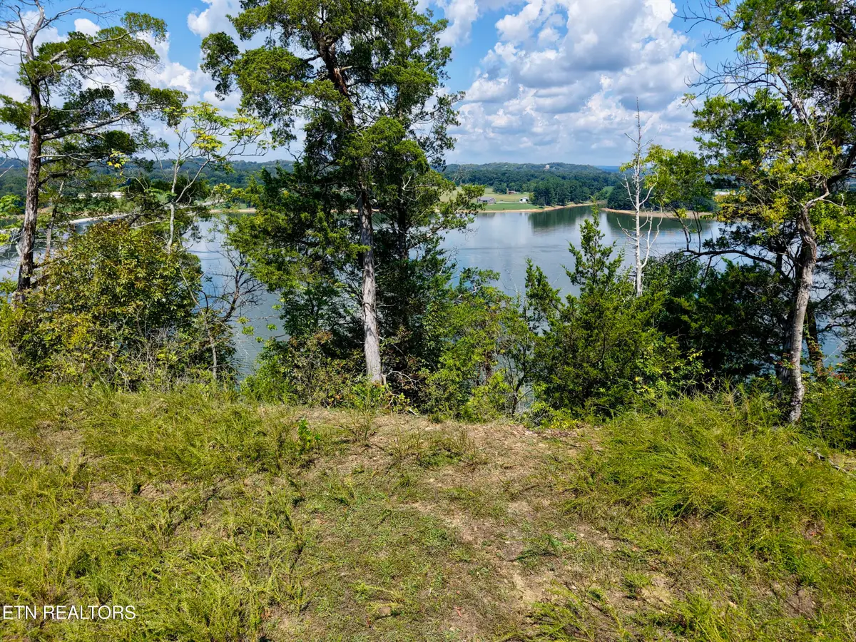 TBD Emerald Springs Way, Newport, TN 37821 - #1