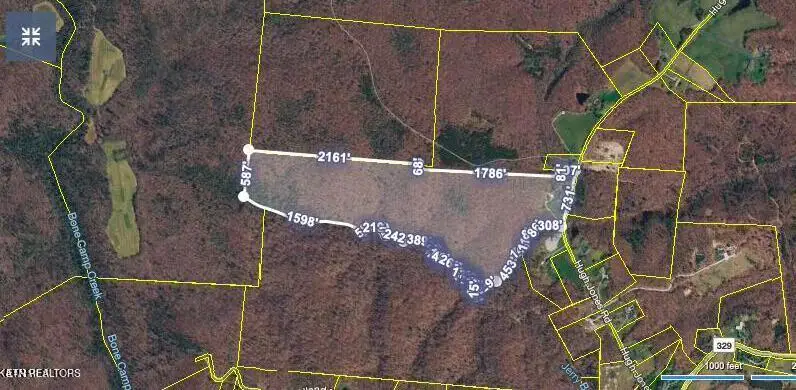 Hugh Jones Rd, Sunbright, TN 37872 - #2