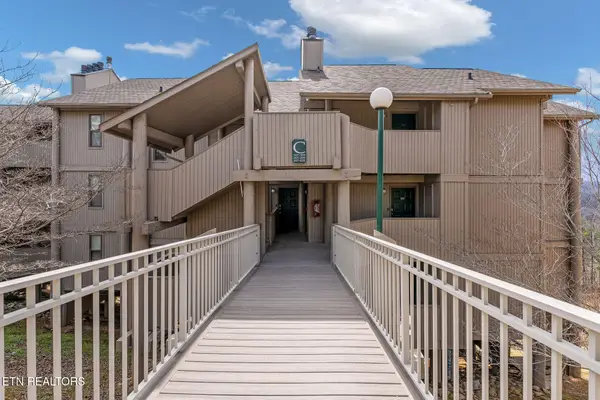 3710 Weber Rd #C307, Gatlinburg, TN 37738