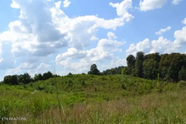 Lot 22 Landing Lane, Smithville, TN 37166 - #1
