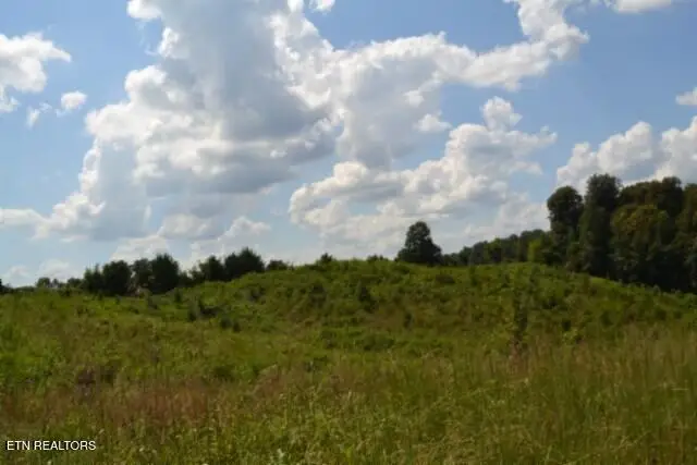 Lot 22 Landing Lane, Smithville, TN 37166 - #2