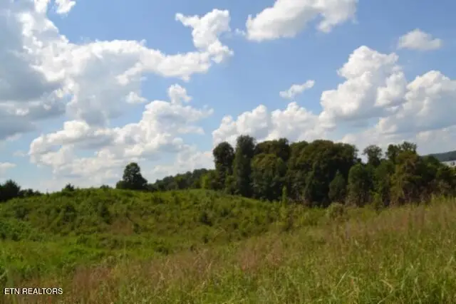 Lot 22 Landing Lane, Smithville, TN 37166 - #3